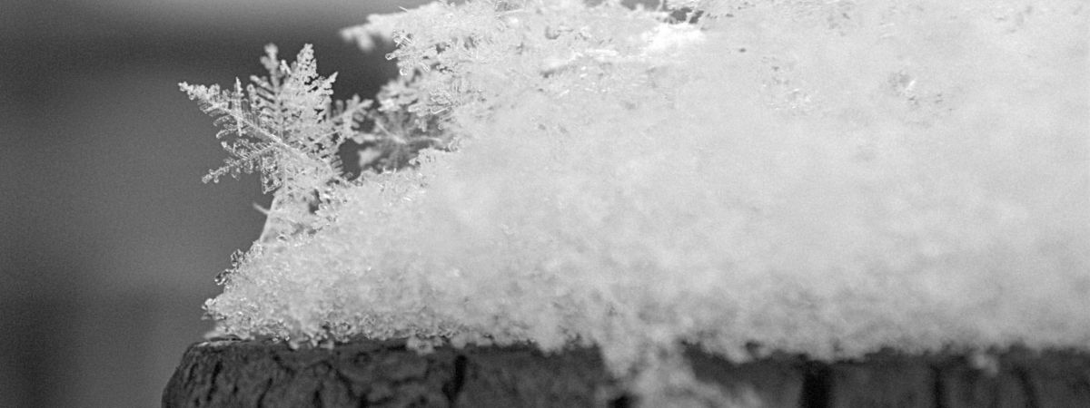 Coperture per neve