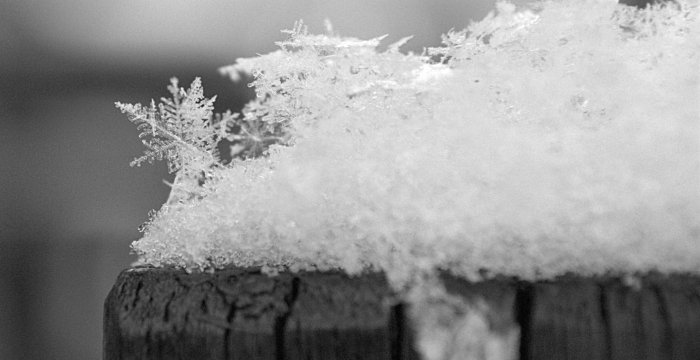 Coperture per neve